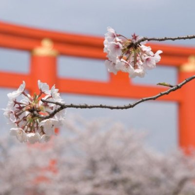 kyoto-740x480